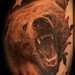 Tattoos - Grizzly - 51951